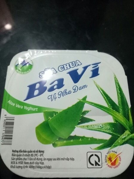 SỮA CHUA BA VÌ NHA ĐAM 100G (HỘP)